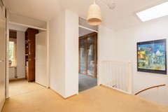 Vrouwenmantel 81  Schoonhoven 039.jpg